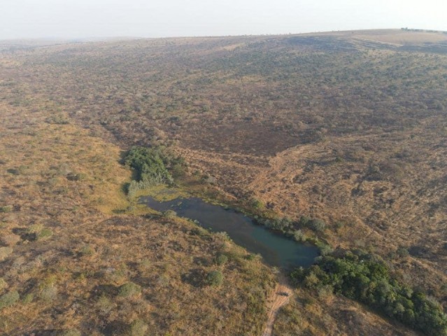 A Venda FAZENDA DE 500 HECTARES EM FUNCIONAMENTO
