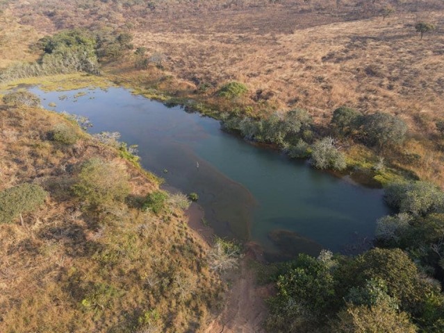 A Venda FAZENDA DE 500 HECTARES EM FUNCIONAMENTO