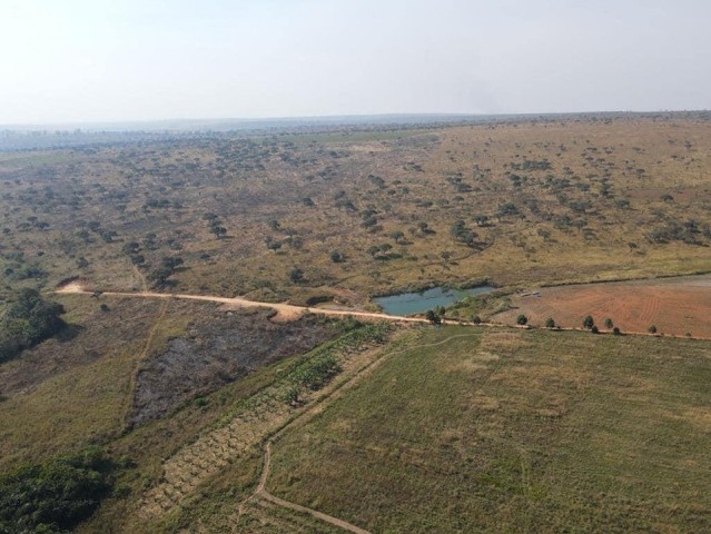 A Venda FAZENDA DE 500 HECTARES EM FUNCIONAMENTO