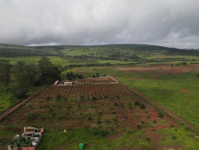 A Venda FAZENDA DE 500 HECTARES EM FUNCIONAMENTO
