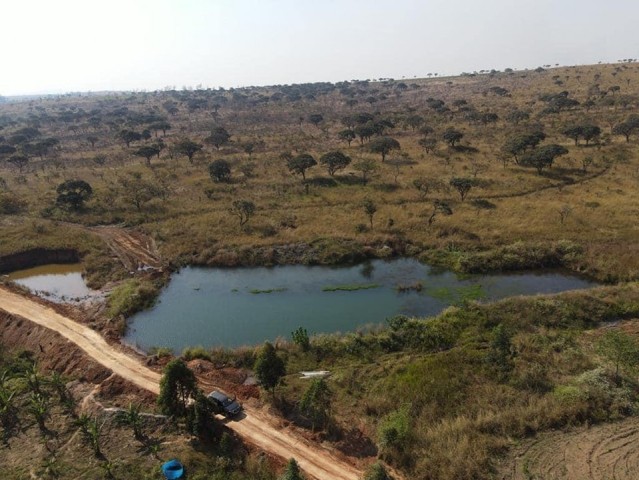 A Venda FAZENDA DE 500 HECTARES EM FUNCIONAMENTO