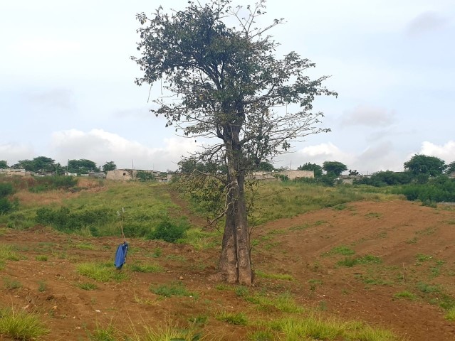 A Venda TERRENO DE 2 HECTARES, BERMA ESTRADA, CACUACO