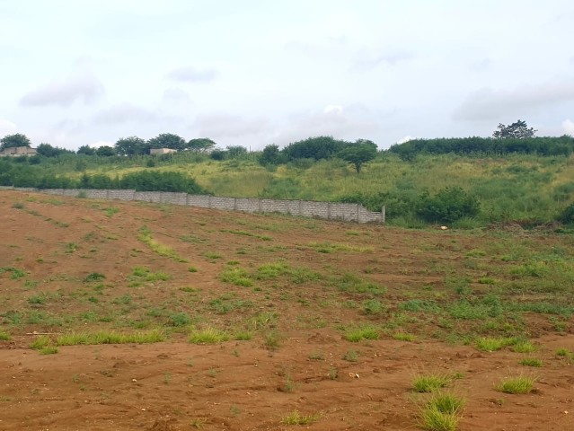 A Venda TERRENO DE 2 HECTARES, BERMA ESTRADA, CACUACO