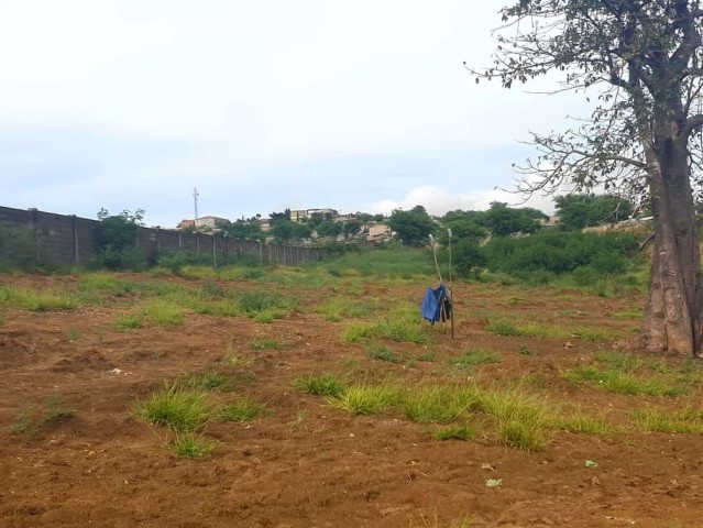 A Venda TERRENO DE 2 HECTARES, BERMA ESTRADA, CACUACO