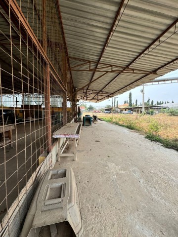 A Venda Estaleiro de 1,2 hectares, na Via Expressa