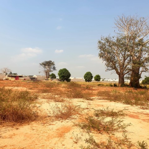 A Venda TERRENO BEIMA ESTRADA DE 17/80, ZANGO 8000