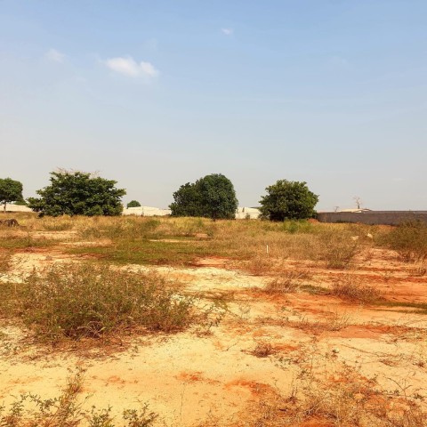 A Venda TERRENO BEIMA ESTRADA DE 17/80, ZANGO 8000