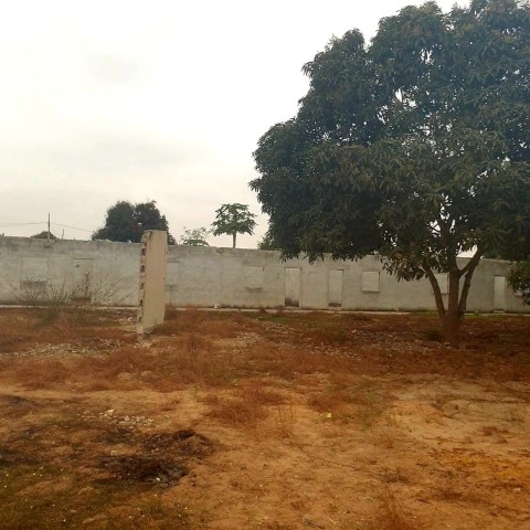 A Venda TERRENO DE 3.7 HECTARES, NO DISTRITO URBANO DO VILA FLOR