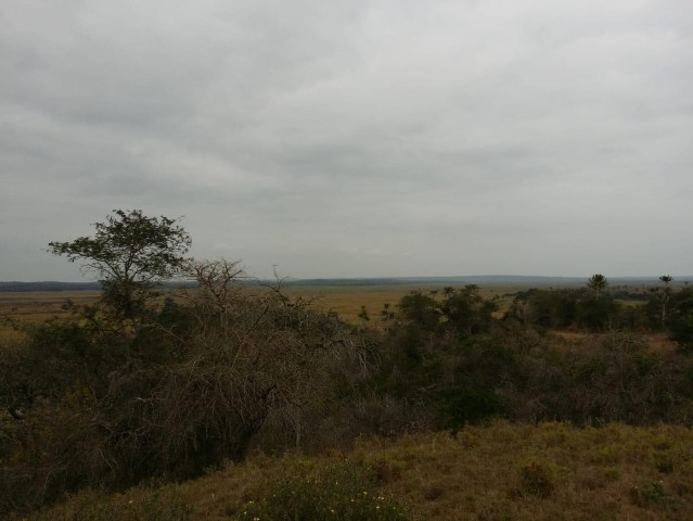 A Venda Fazenda agropecuária, no município da Quissama, Luanda.