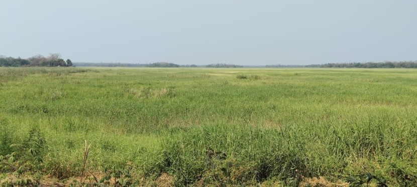 A Venda Fazenda agropecuária, no município da Quissama, Luanda.