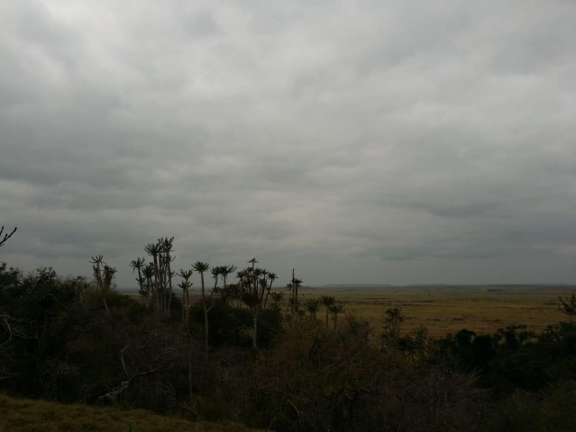 A Venda Fazenda agropecuária, no município da Quissama, Luanda.