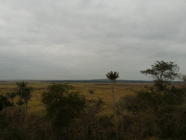 A Venda Fazenda agropecuária, no município da Quissama, Luanda.