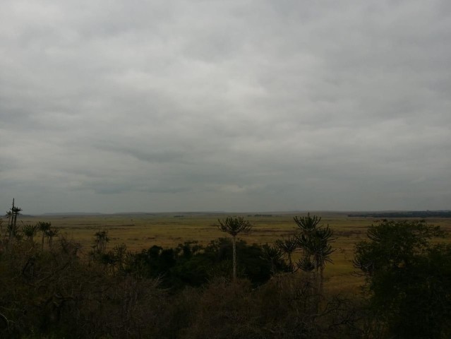 A Venda Fazenda agropecuária, no município da Quissama, Luanda.