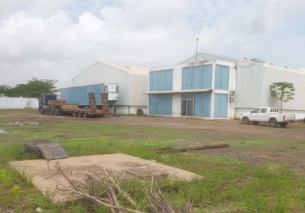 Anúncio TERRENO DE 2.5 HECTARES COM 6 NAVES, NA VIA EXPRESSA, VIANA.
