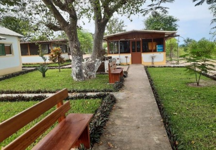 Anúncio Fazenda de 5.000 hectares, na comuna do Cassoneca, município de Ícolo e Bengo, Bengo.